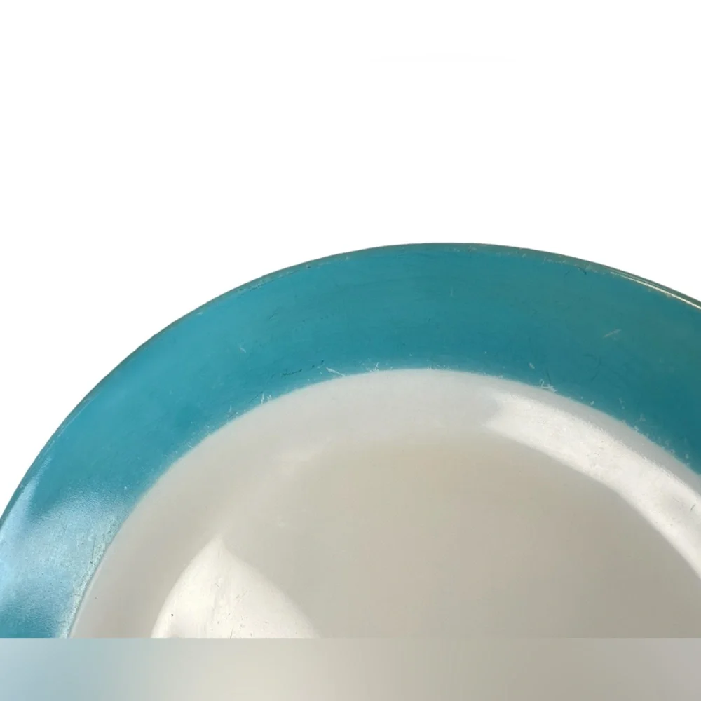 Vintage Pyrex blue Band 10” diner plates
